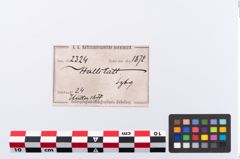 Etikett zu Bronzespiralröhrchen (NHMW-PRAE-002324)
